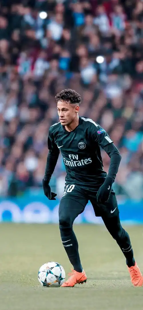 為綠軍帶來 為綠軍帶來